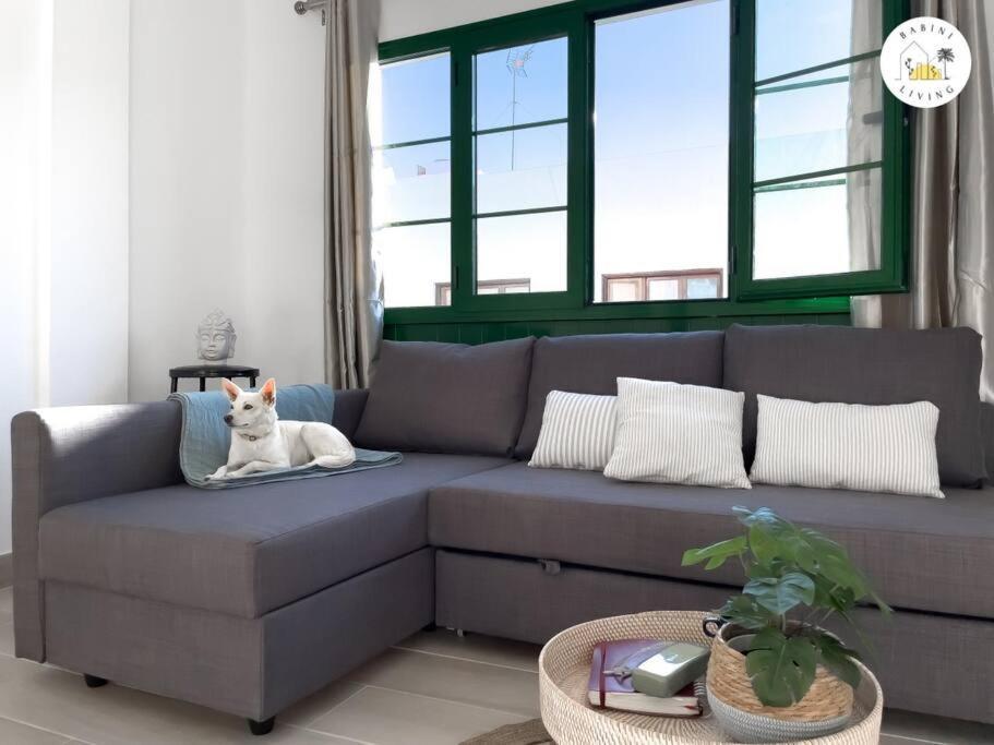 Casa Alicia Central Town By Babiniliving Corralejo Exteriör bild